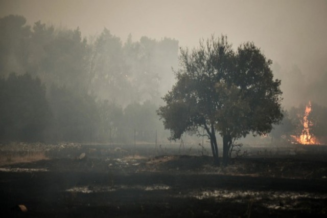 Zjarret në Greqi, zjarrfikësit luftojnë me flakët në Vilia për ditën e katërt radhazi